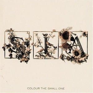 Portada de Colour the Small One