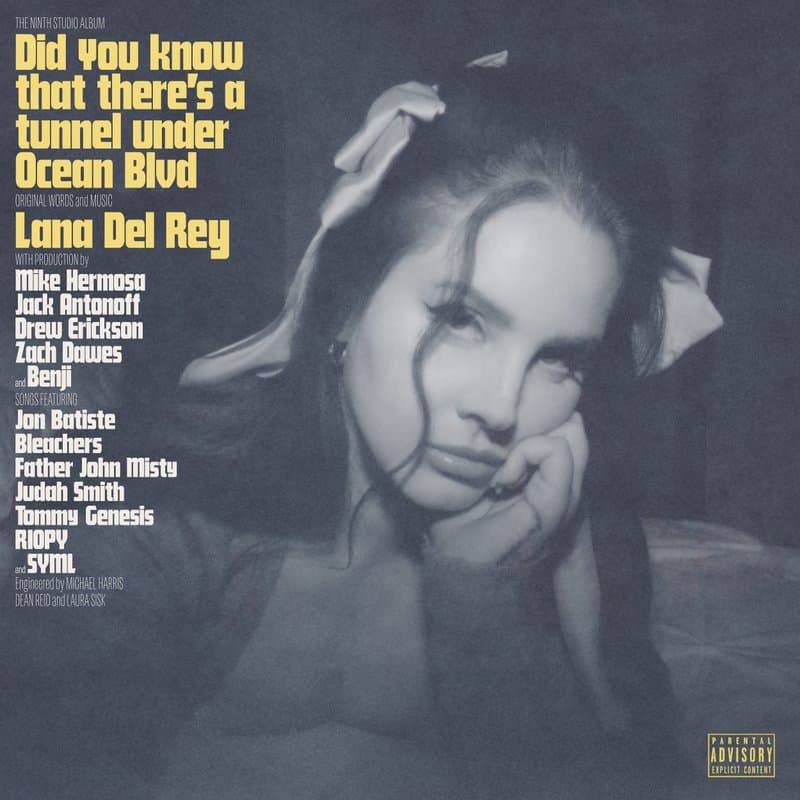Pochette de Did you know that there’s a tunnel under Ocean Blvd