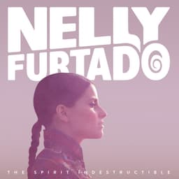 Copertina di The Spirit Indestructible