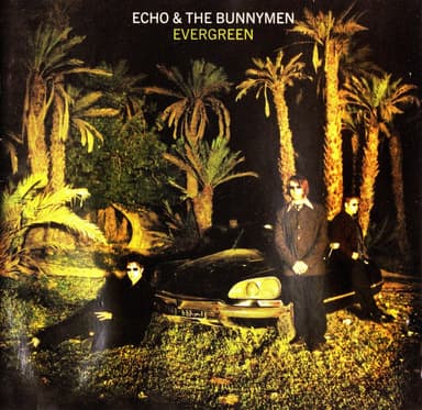 Evergreen cover art