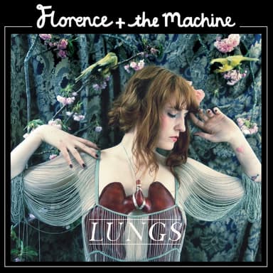 Copertina di Lungs