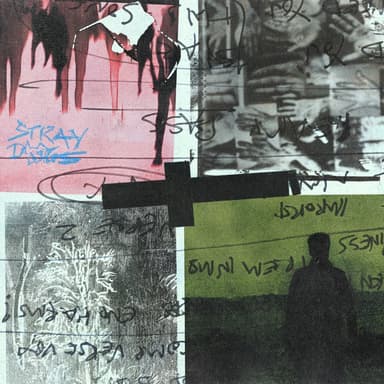 Portada de Stray Dogs