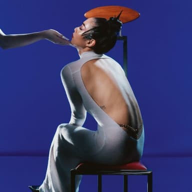 Hold the Girl cover art