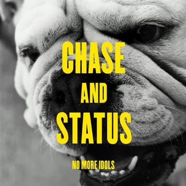 No More Idols cover art