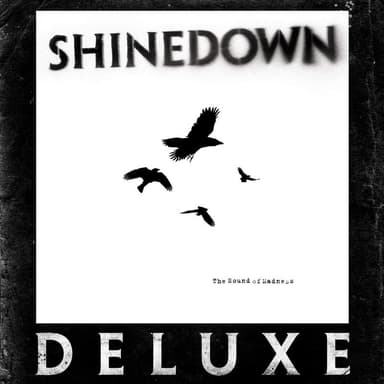 Pochette de The Sound of Madness