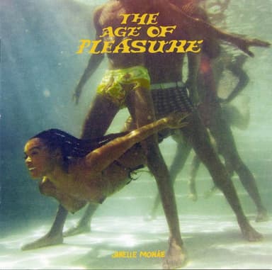 The Age of Pleasure cover art
