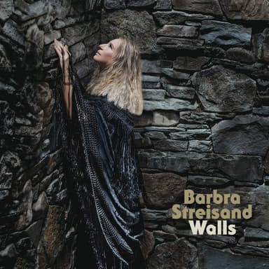 Walls cover art