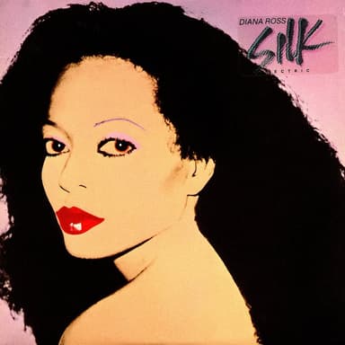 Silk Electric cover art