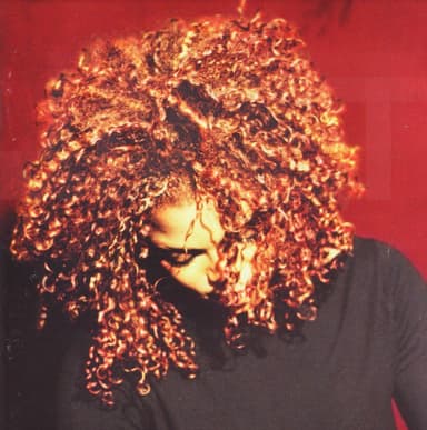 The Velvet Rope cover art