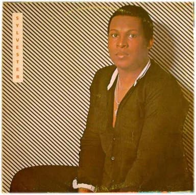 Sylvester cover art