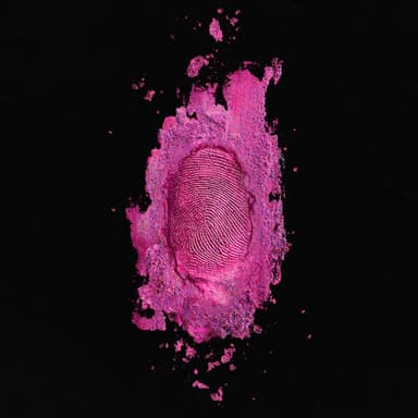 The Pinkprint cover art